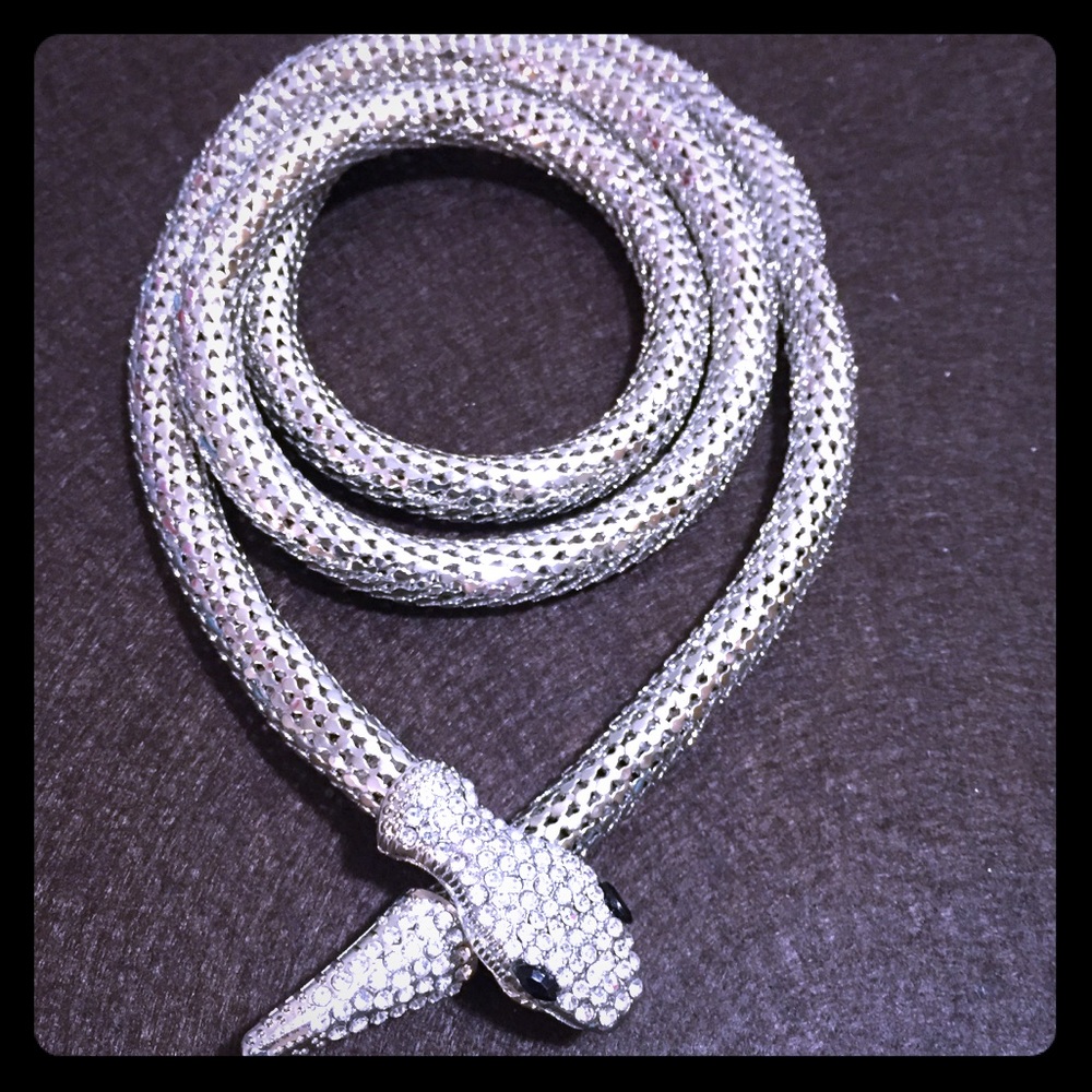 Snake Necklace/Bracelet Silver Tone
